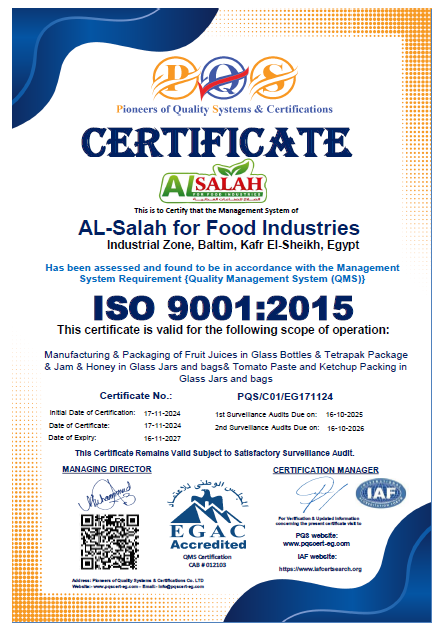 ISO 9001